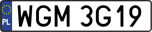 WGM3G19