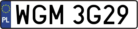 WGM3G29
