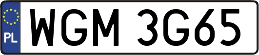 WGM3G65