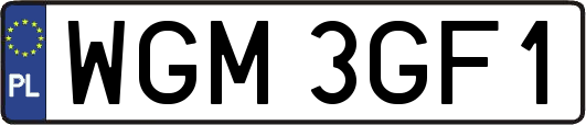 WGM3GF1