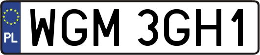 WGM3GH1