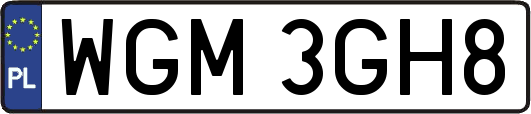WGM3GH8