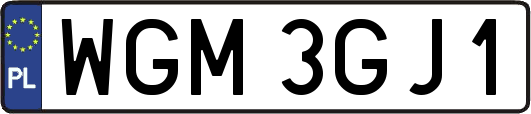 WGM3GJ1