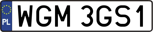 WGM3GS1