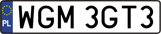 WGM3GT3
