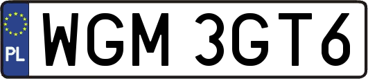 WGM3GT6