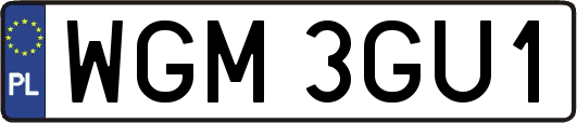 WGM3GU1