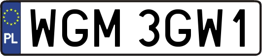 WGM3GW1