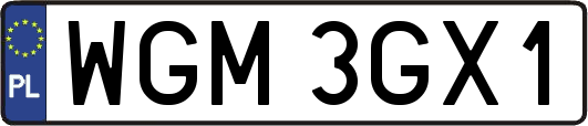 WGM3GX1