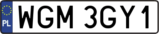 WGM3GY1