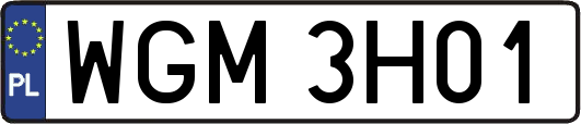 WGM3H01