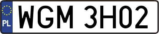 WGM3H02