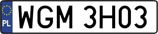WGM3H03