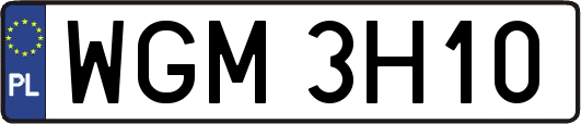 WGM3H10