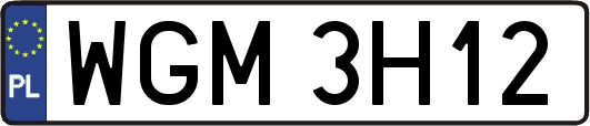 WGM3H12