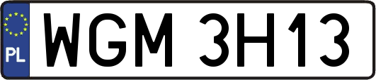 WGM3H13