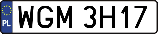 WGM3H17