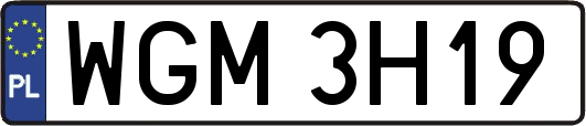 WGM3H19