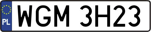 WGM3H23
