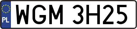 WGM3H25