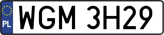 WGM3H29