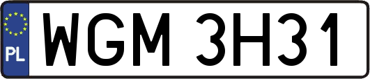 WGM3H31