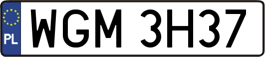WGM3H37
