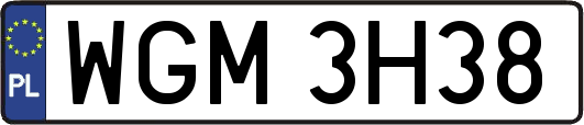 WGM3H38