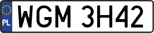 WGM3H42