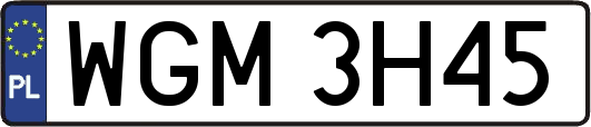 WGM3H45