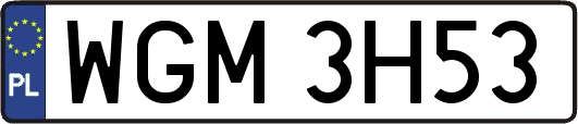 WGM3H53