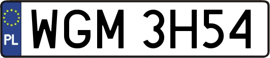 WGM3H54