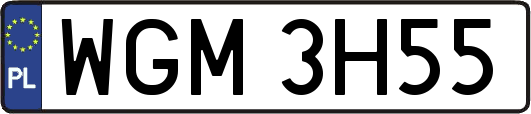 WGM3H55
