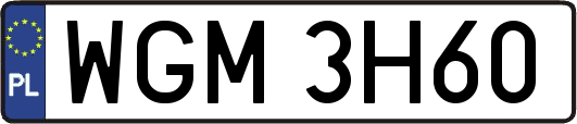 WGM3H60