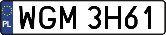 WGM3H61
