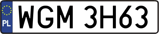 WGM3H63