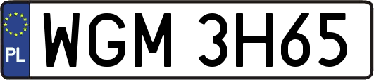 WGM3H65