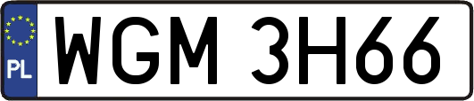 WGM3H66