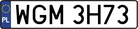 WGM3H73