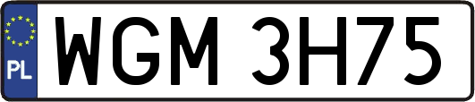 WGM3H75