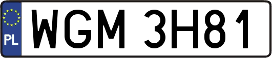 WGM3H81
