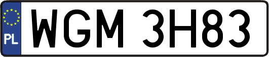 WGM3H83