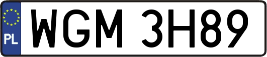 WGM3H89
