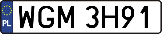 WGM3H91