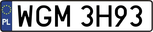 WGM3H93