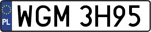 WGM3H95
