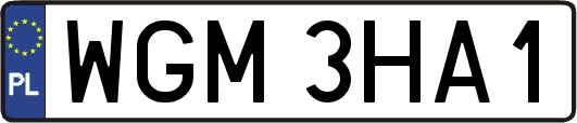 WGM3HA1