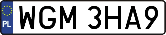 WGM3HA9