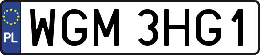 WGM3HG1