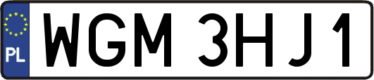 WGM3HJ1